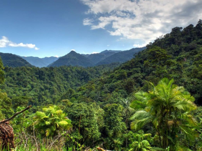 ENLACE English Language Centre photo